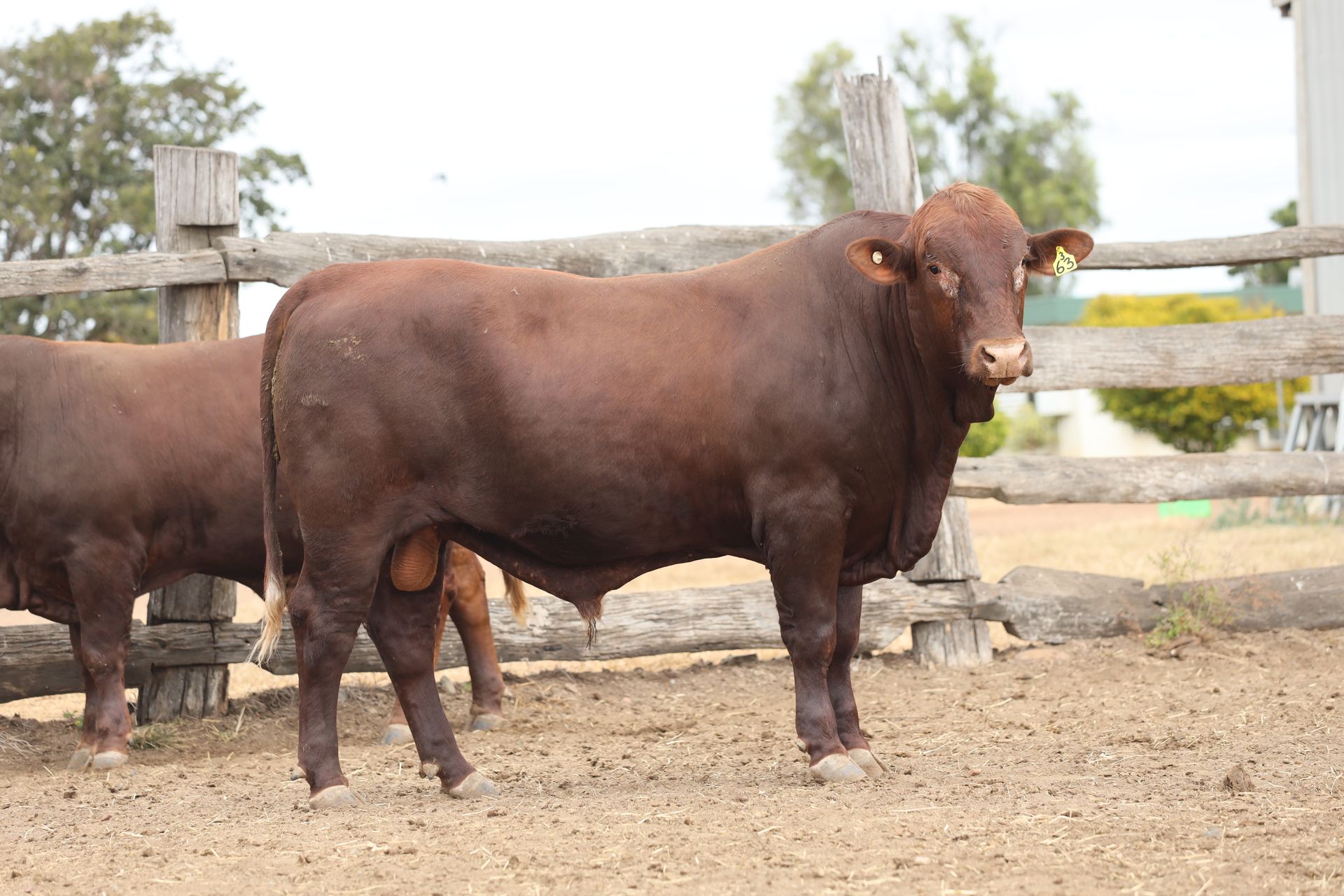 Lot 29 RJS220155