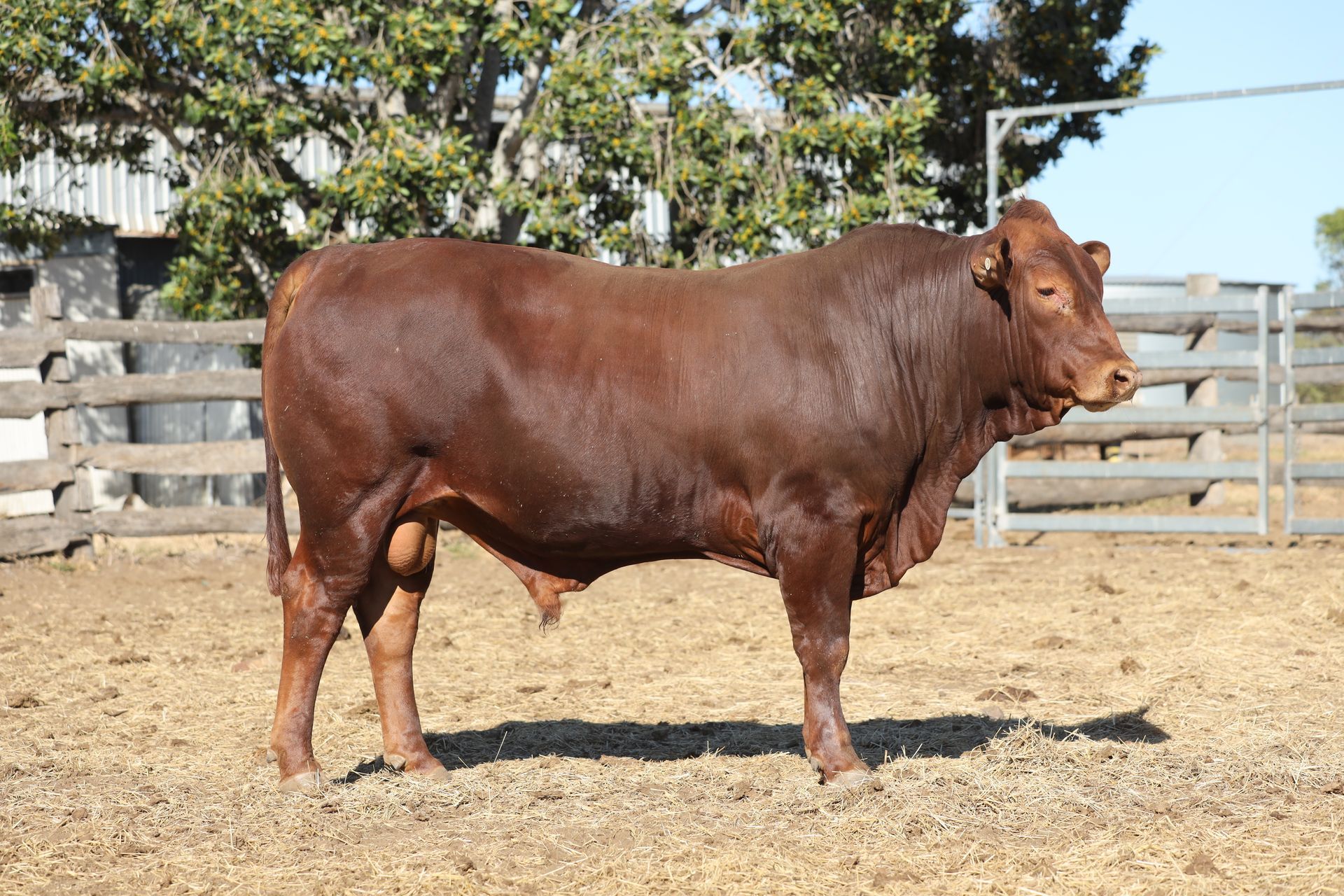 Lot 30 RJS220163