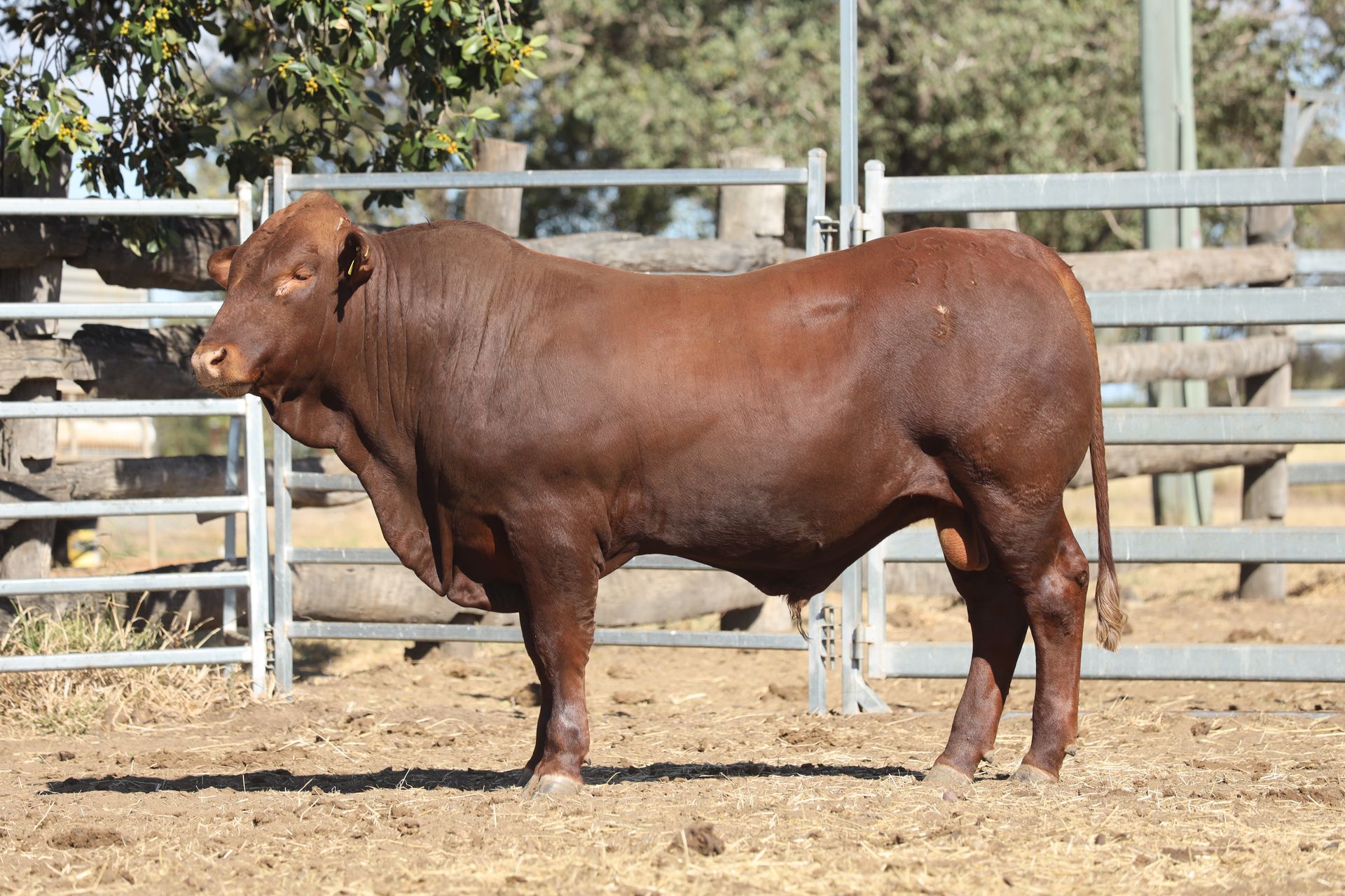 Lot 3 RJS220175