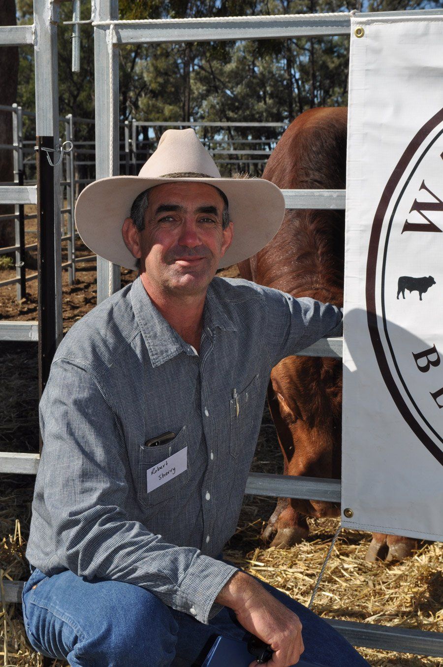 cow at the back with man at the front