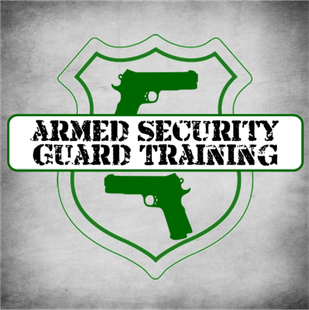 Security Solutions — Armed Security Guard Training in Tempe, AZ