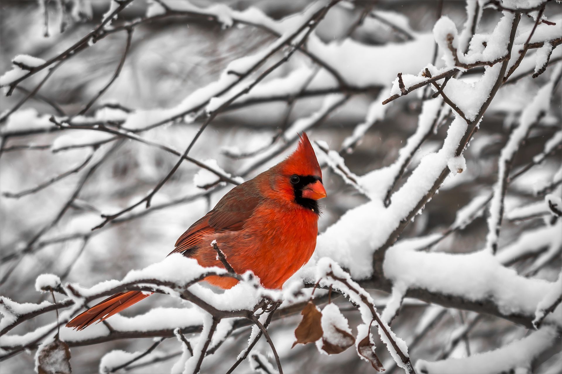 A man and a woman are holding hands over a wooden table.
