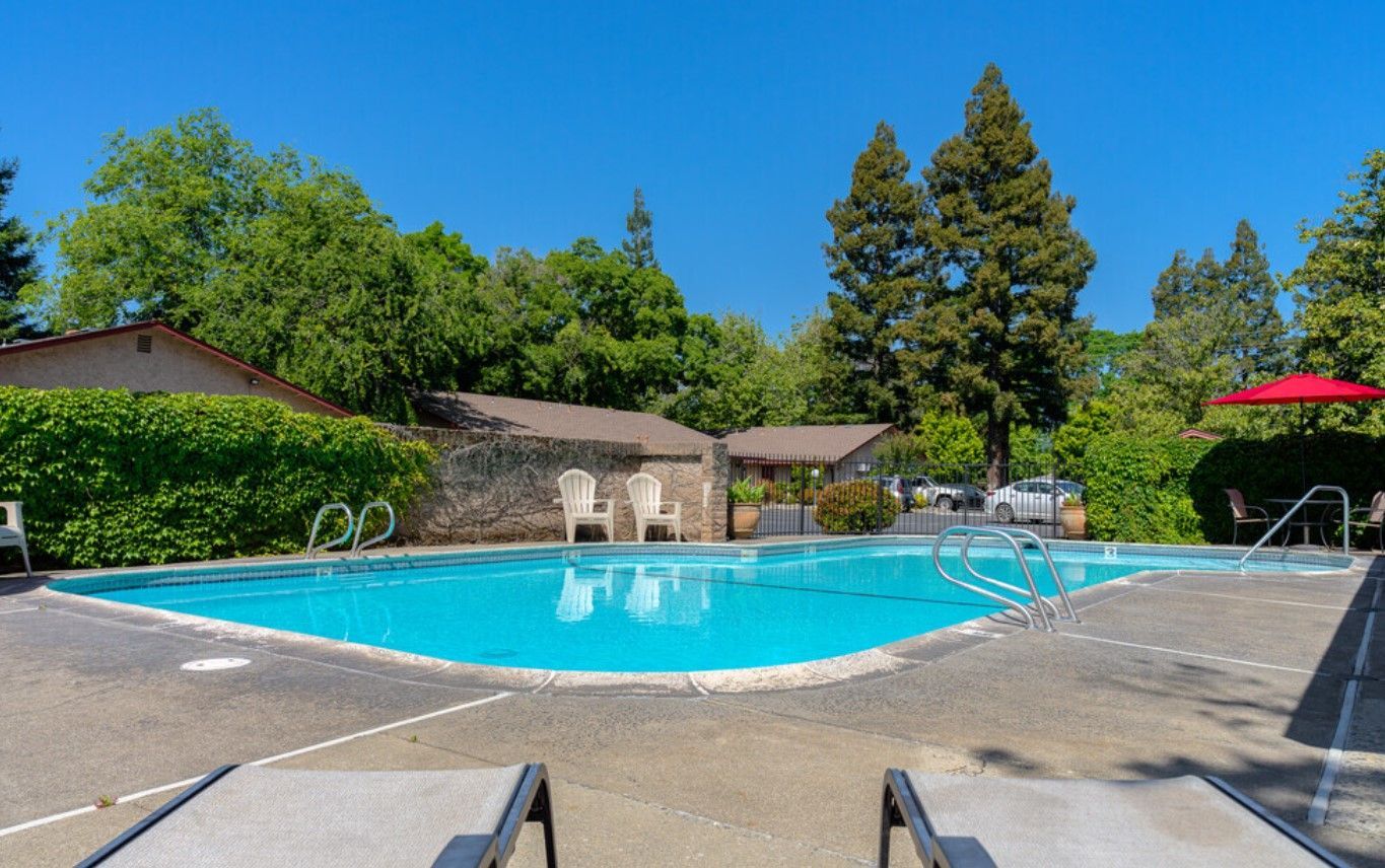 A large swimming pool with chairs and umbrellas in front of a house.