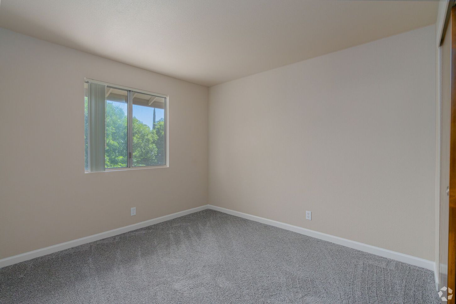 An empty bedroom with a window and a carpeted floor.