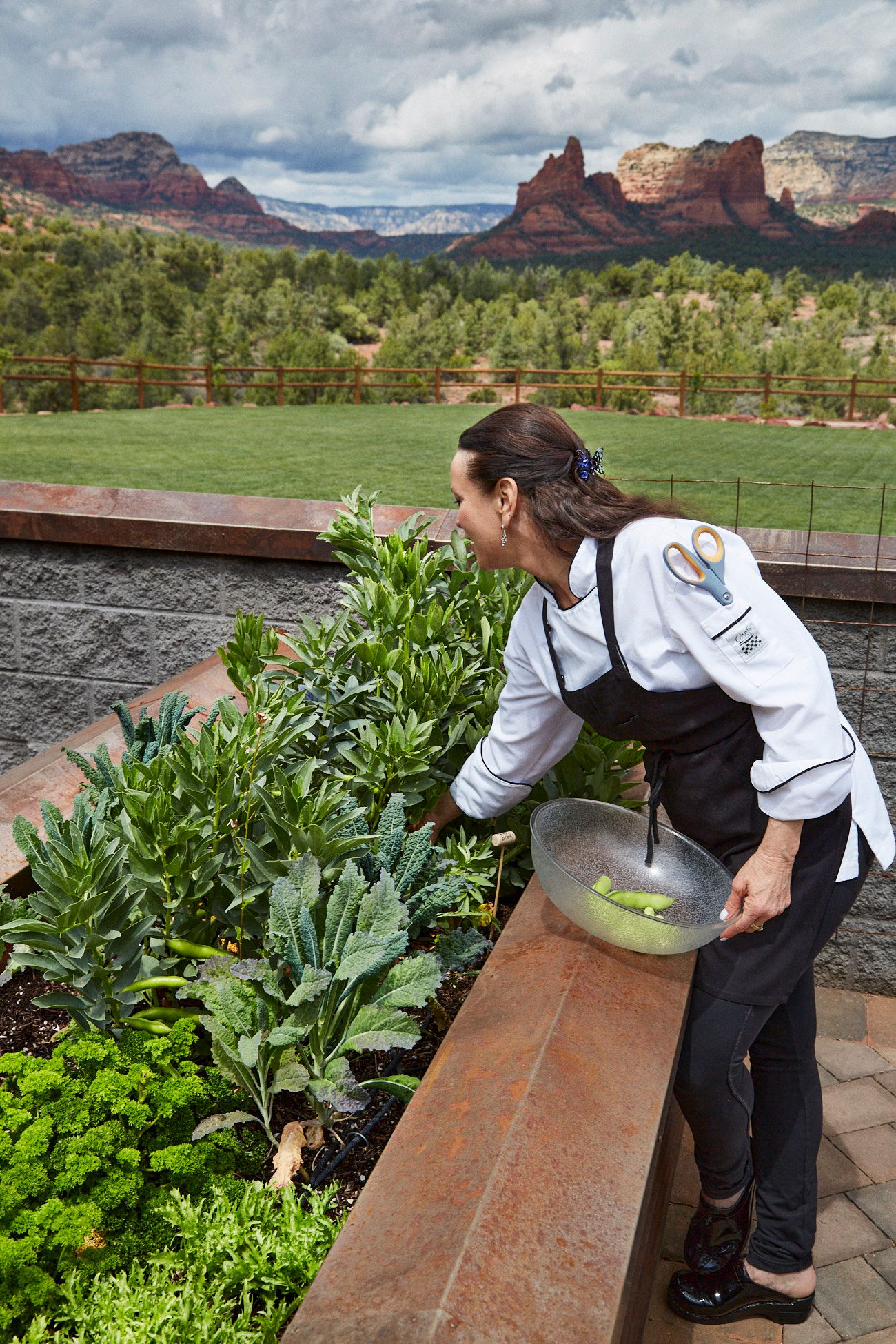 Chef  Lisa Dahl in white coat and black apron harvests kale in garden overlooking red rock mountains.