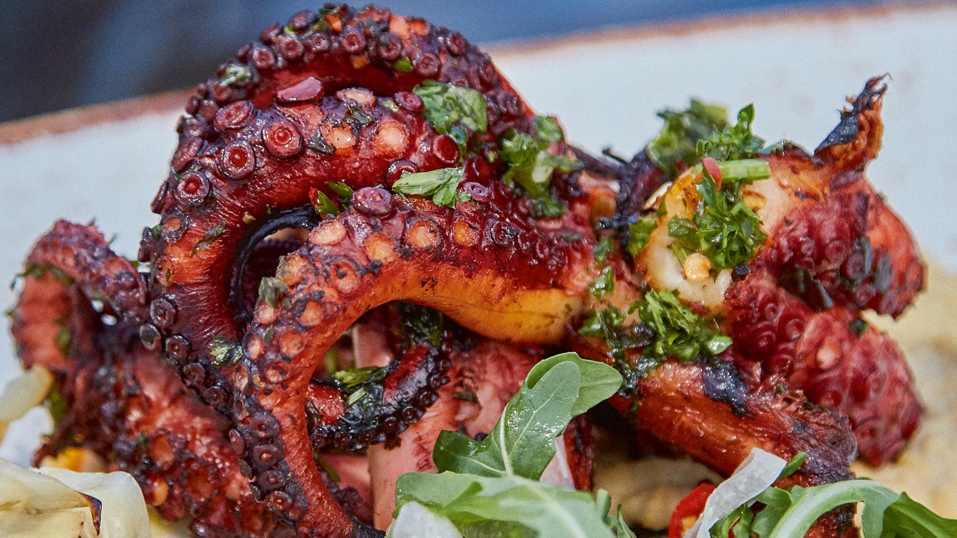 Grilled octopus with herbs and greens on a plate. Mariposa Sedona