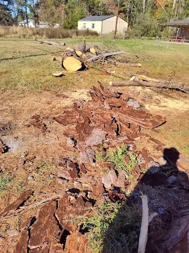 Brown wood debris and logs on a grassy field; a building is in the background.