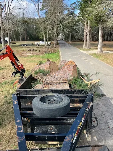 Trailer loaded with logs; excavator arm nearby, road in background.