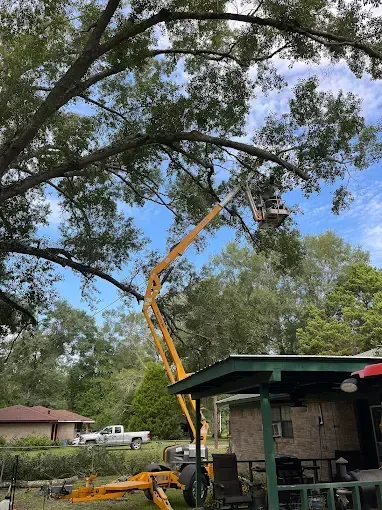 A tree trimming service uses a yellow lift to reach high branches, near a house and truck.