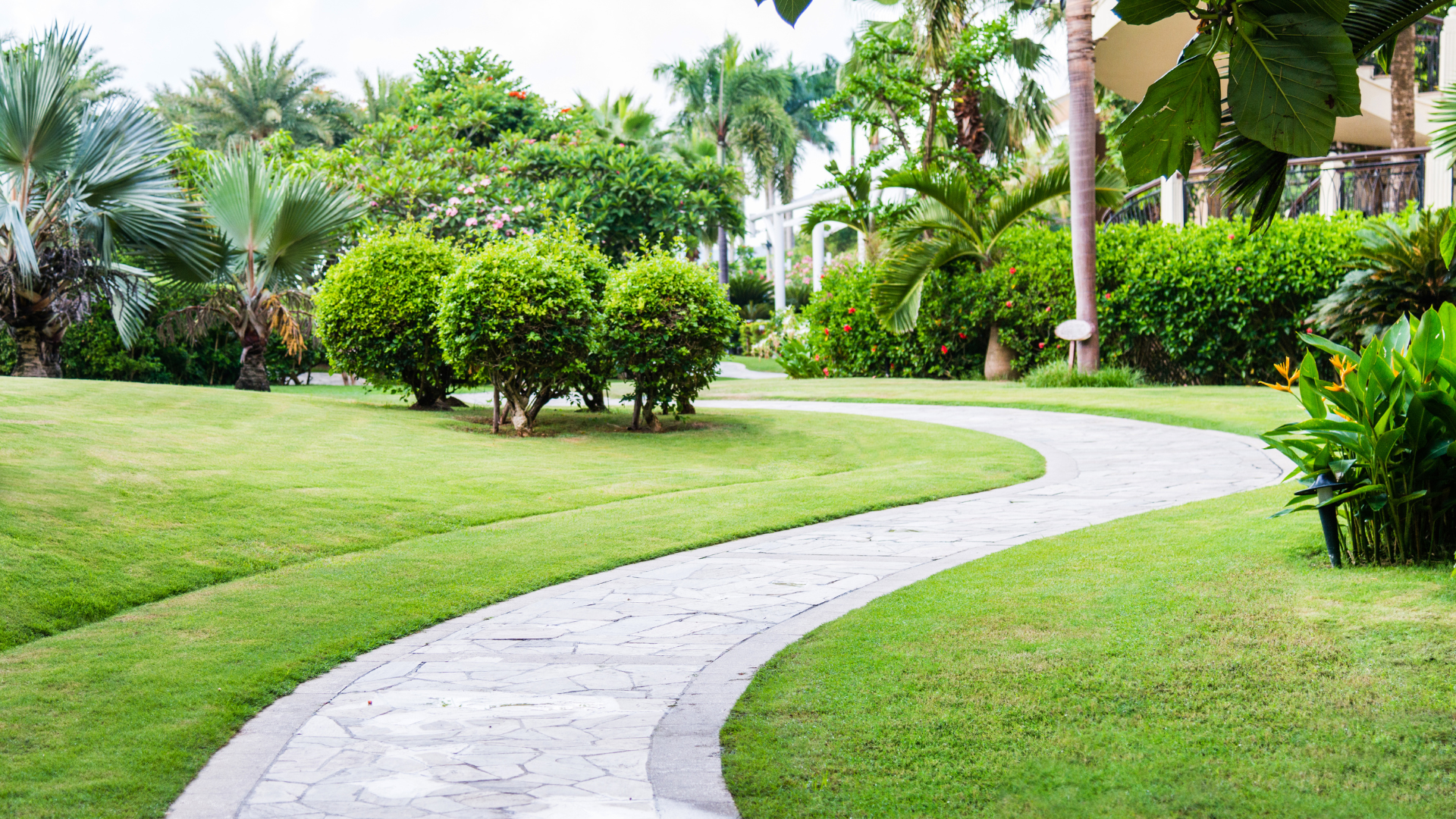 A path in a park surrounded by grass and trees.