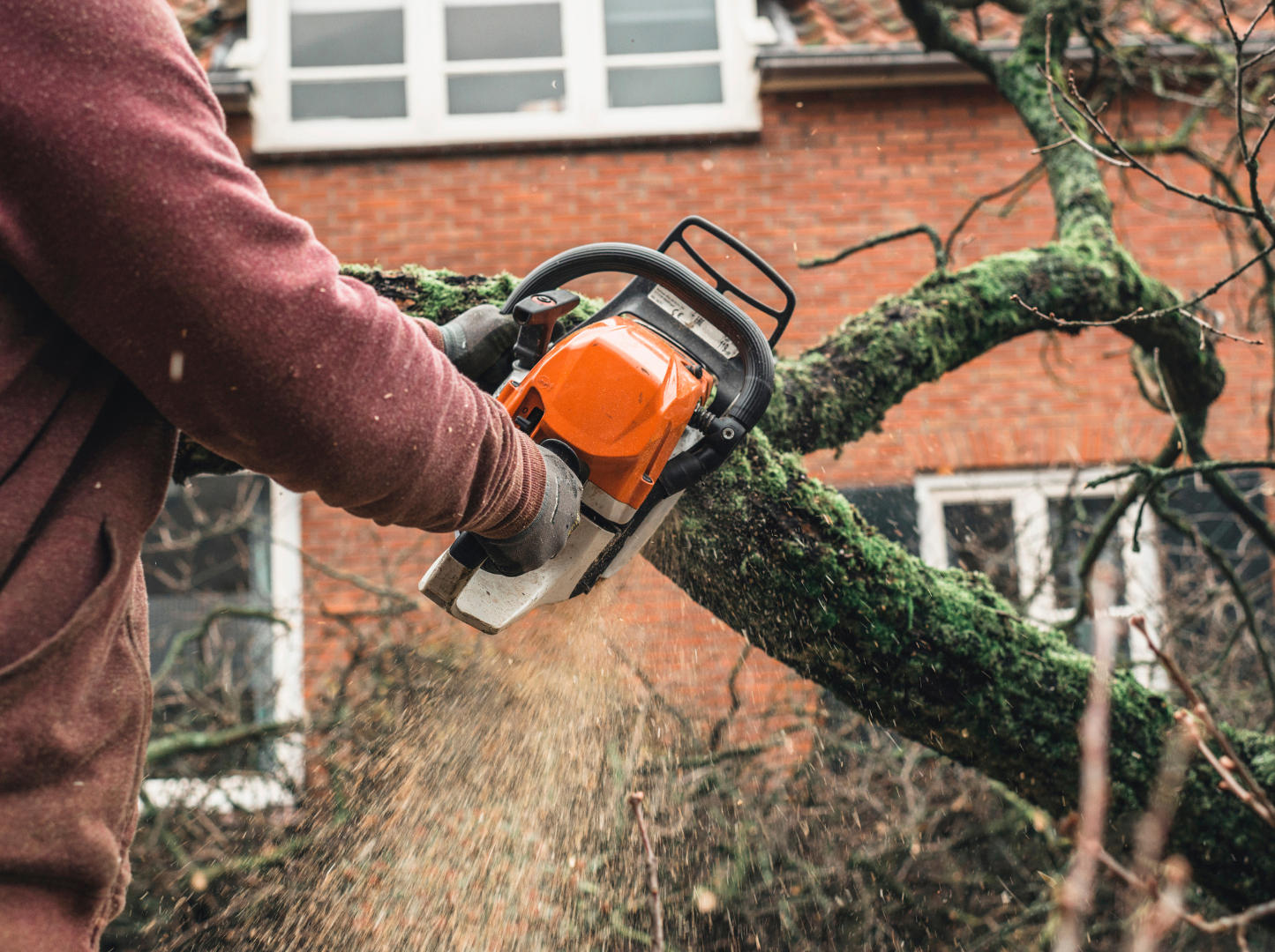 A man is cutting a tree branch with a chainsaw.