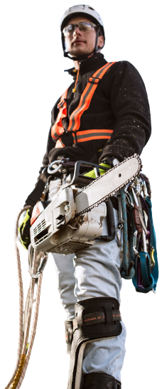 A man wearing a helmet and safety vest is holding a chainsaw.