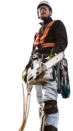 A man is standing on a ladder holding a chainsaw.