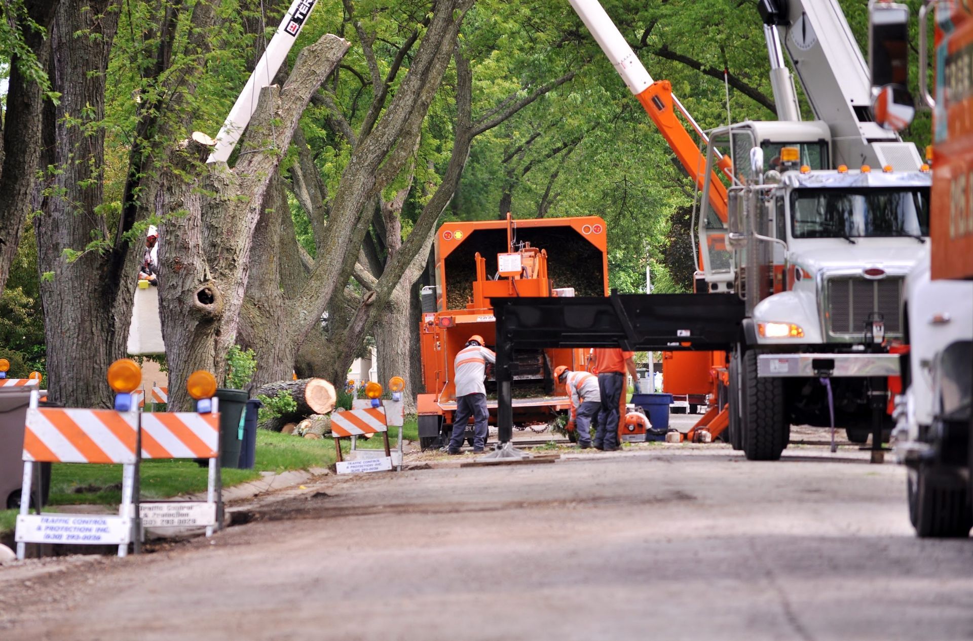 A tree cutting truck is parked on the side of the road