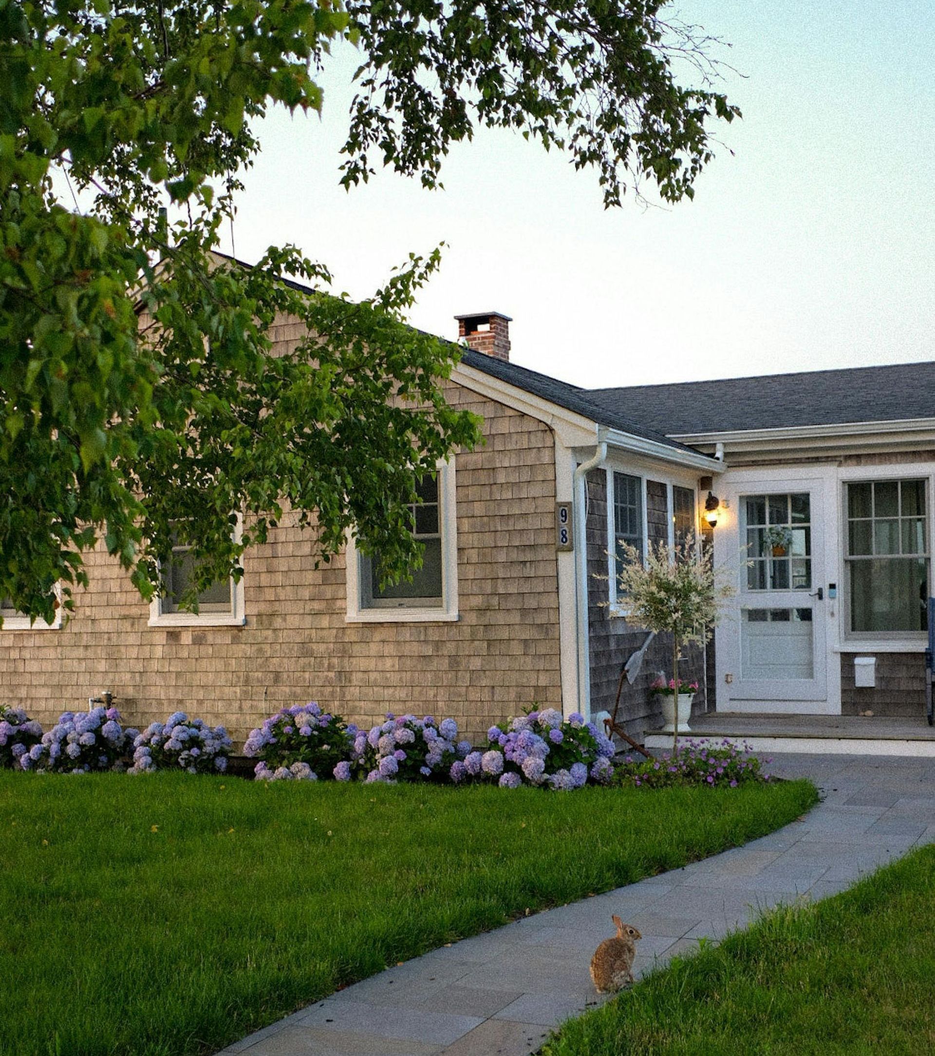 A house with purple flowers in front of it