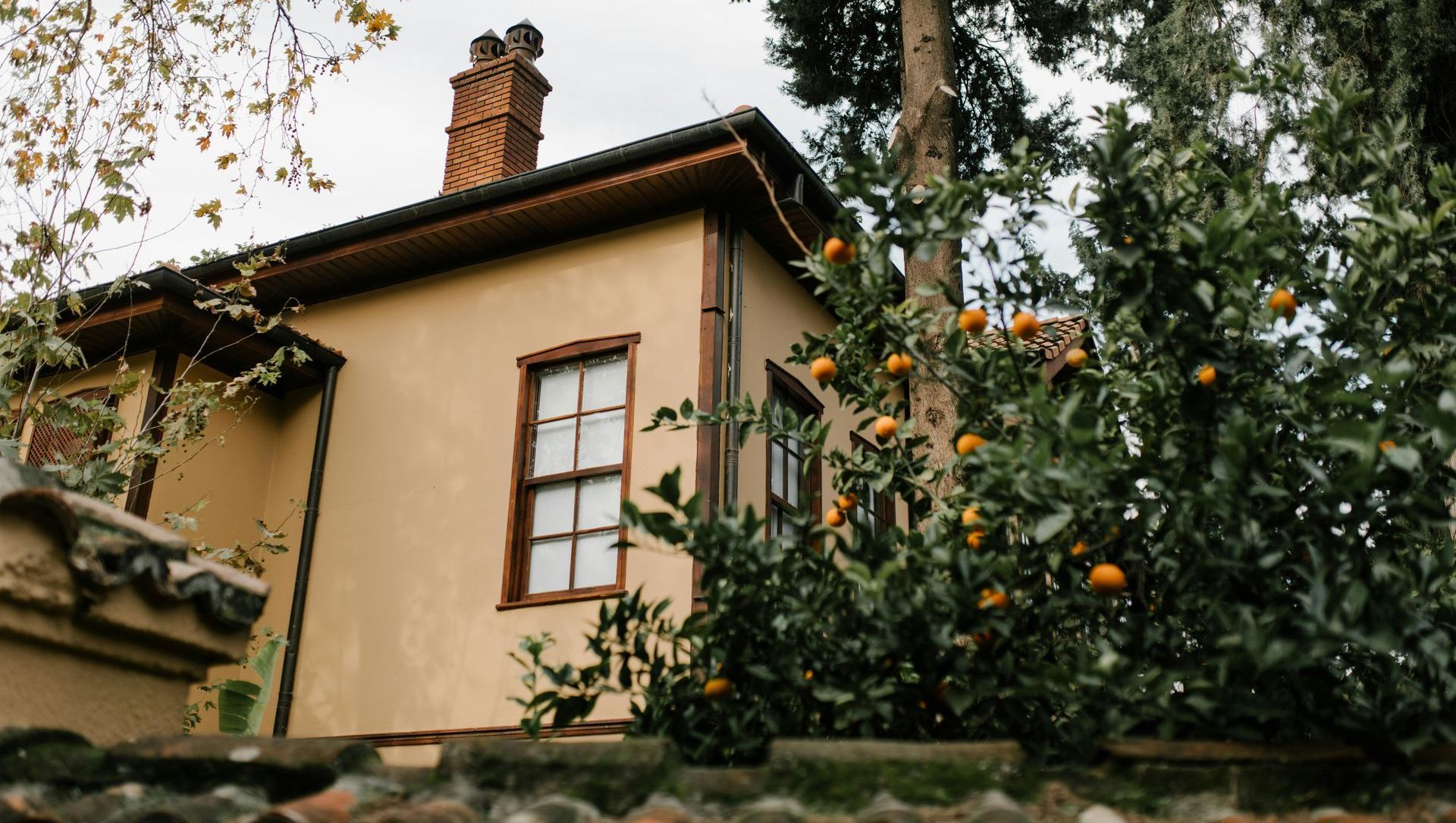 A small house with a chimney and a tree in front of it.