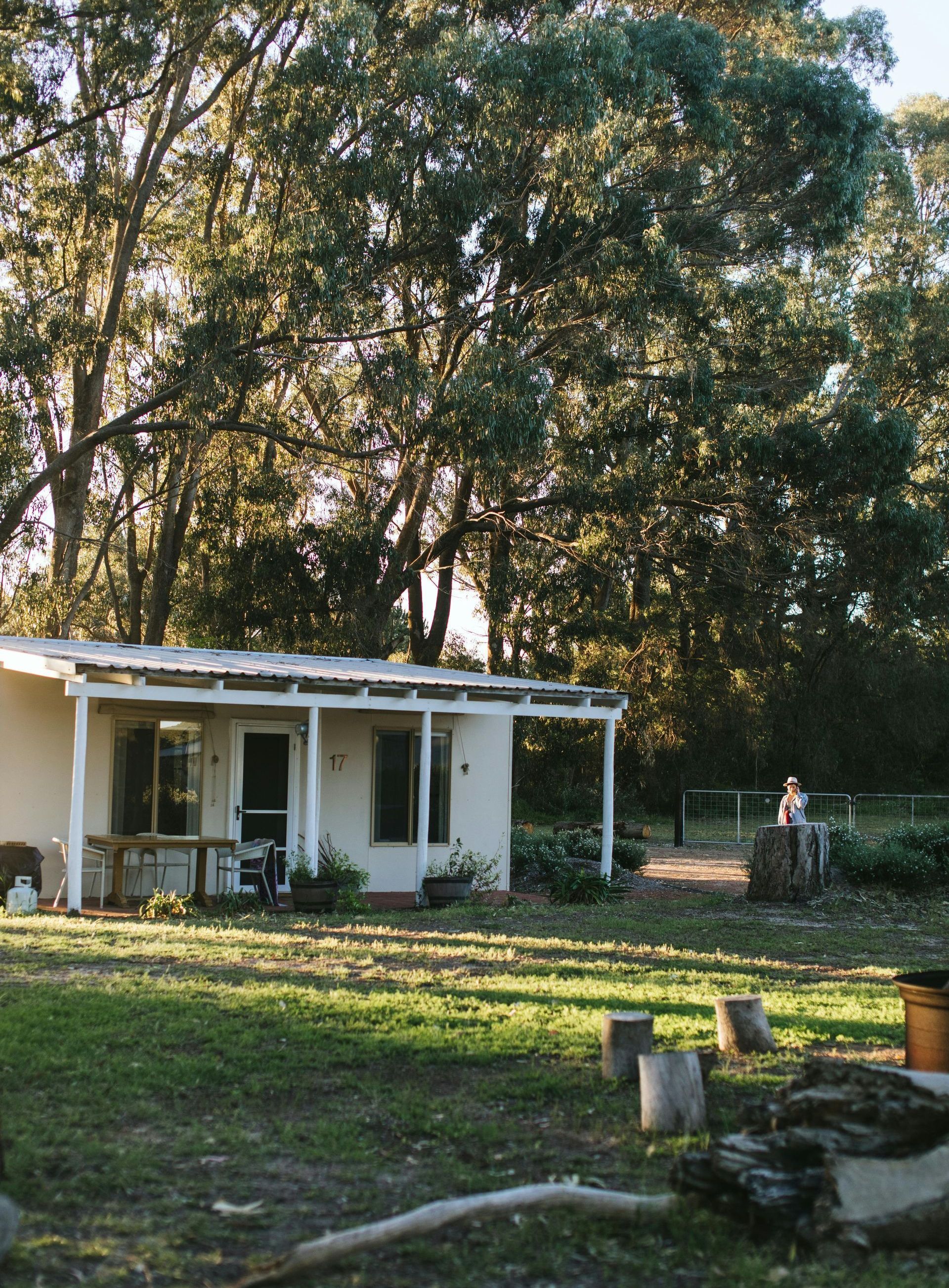 A small white house with a porch is surrounded by trees