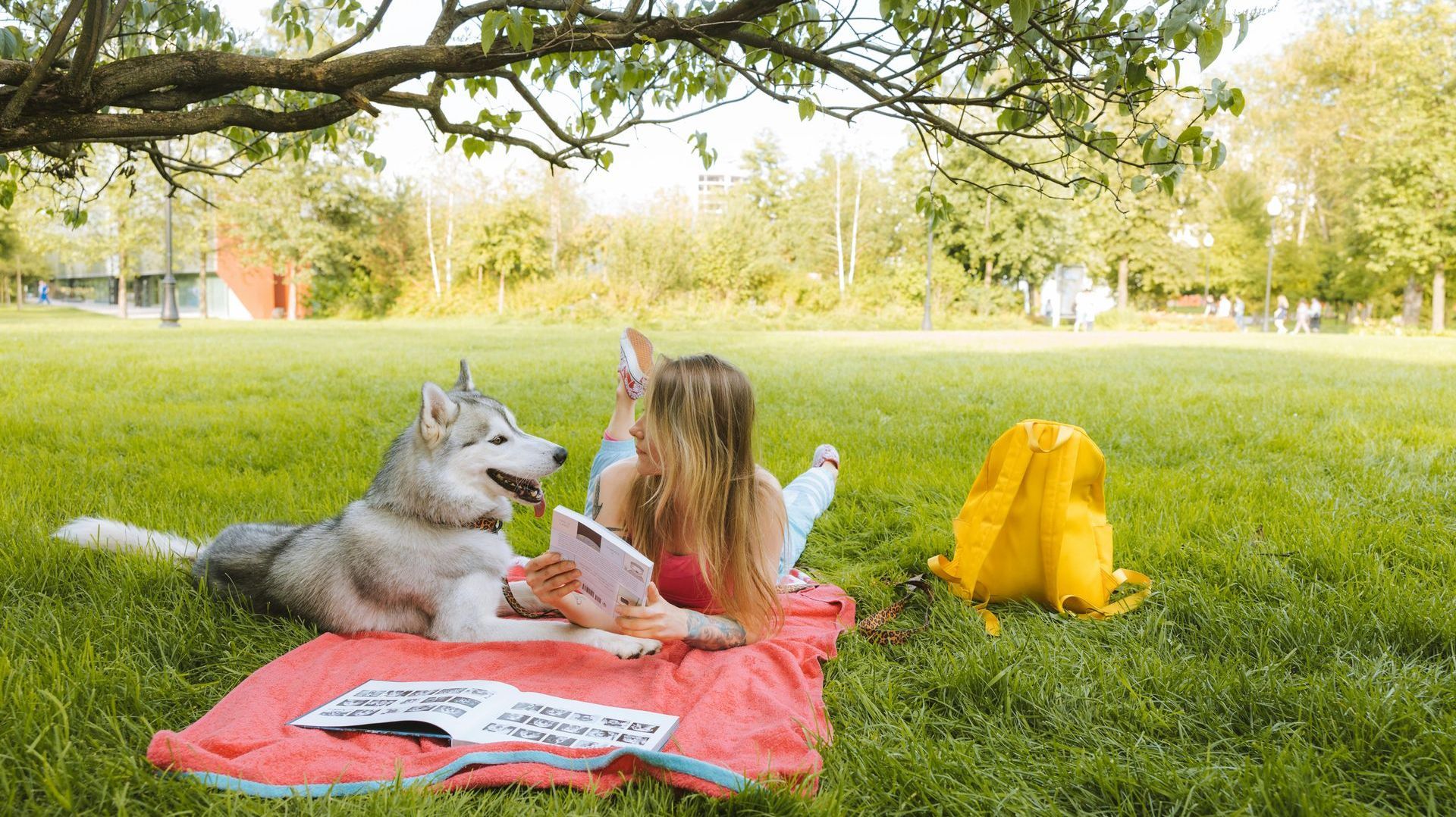 A woman is laying on a blanket with a dog and reading a book.