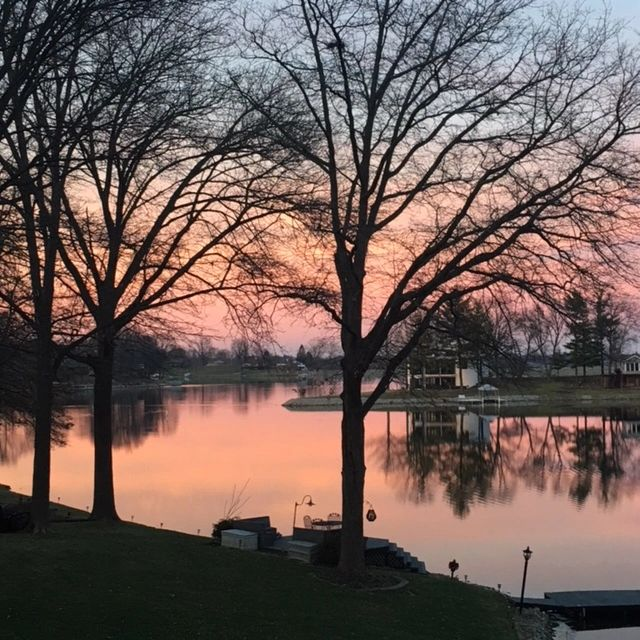 Sunset over a calm lake, silhouetted trees in the foreground, with houses visible on the far shore.