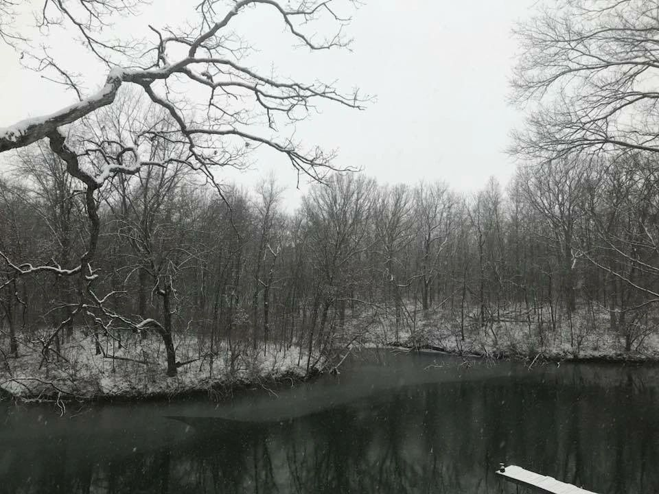 Snowy landscape with bare trees bordering a dark body of water. Overcast, winter scene.
