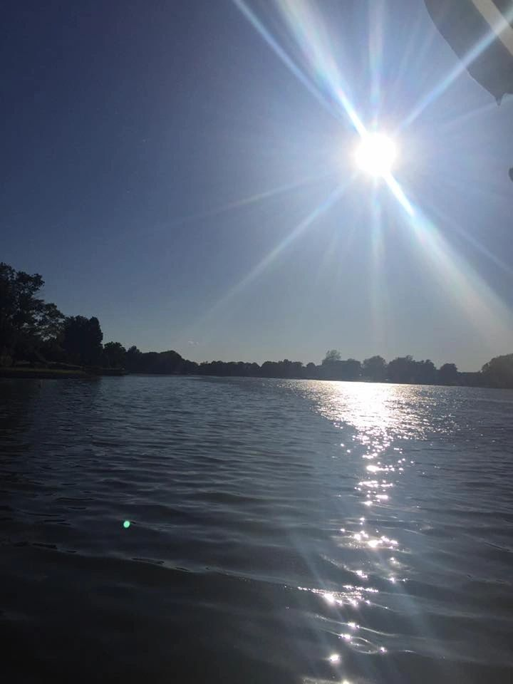 Sun shining over a lake with sparkling water; trees line the far shore.