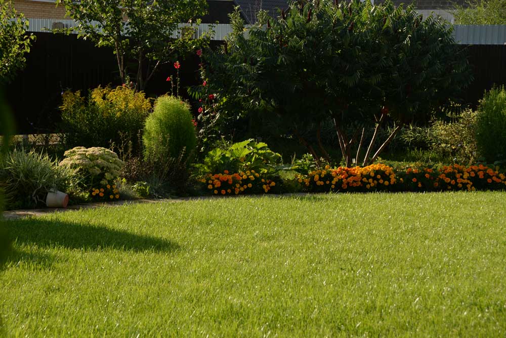 Lawn Covered with Grass  — Albany, GA — Wright Turf Farms