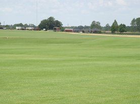 Top Sod and Turf Farm