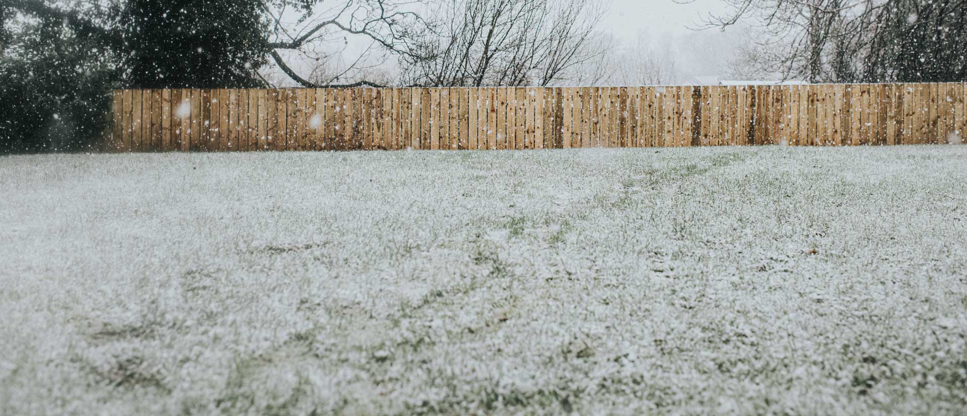 Lawn and Wintertime — Albany, GA — Wright Turf Farm Inc