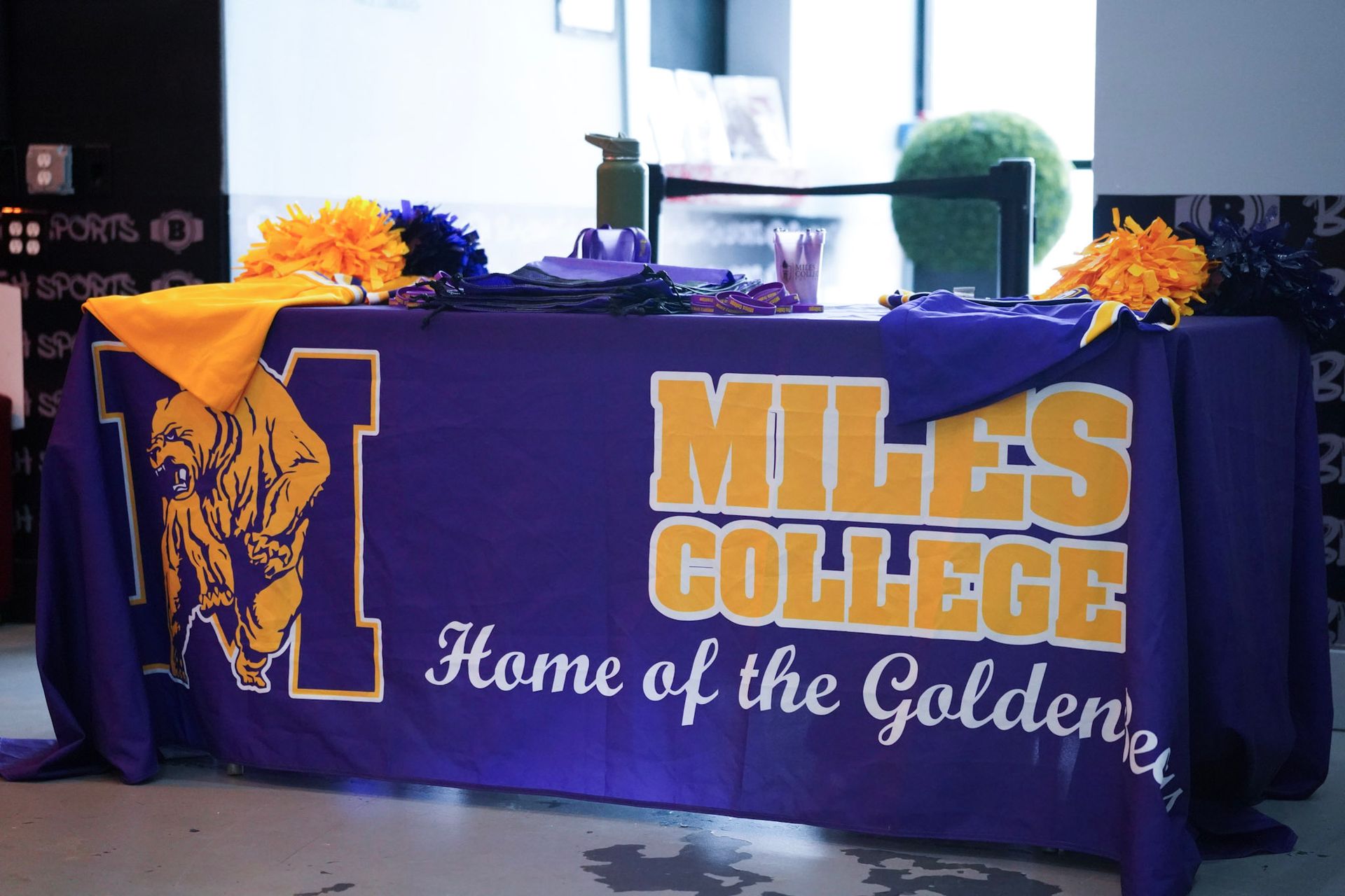 Miles Cheer at College Cheer Combine