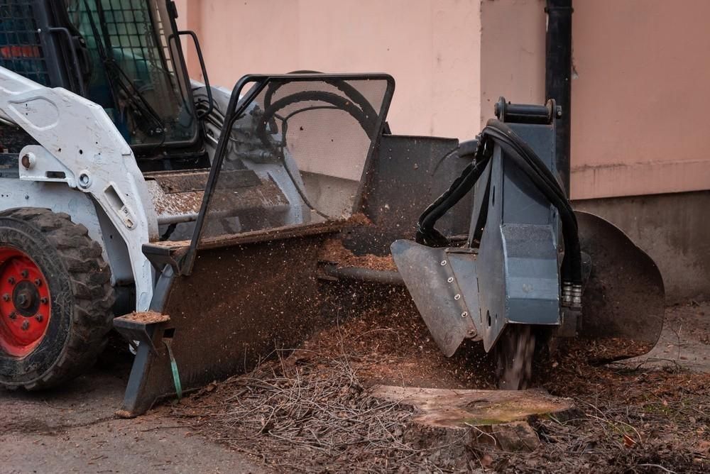 a bobcat is stump grinding a tree in front of a building .