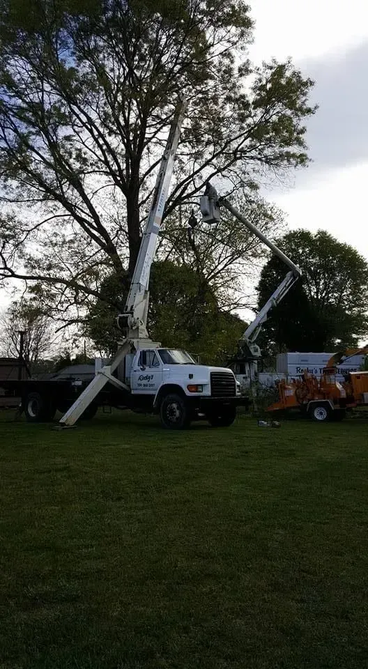 Truck with raised boom lifts near tree being trimmed by arborists. Green grass, cloudy sky.