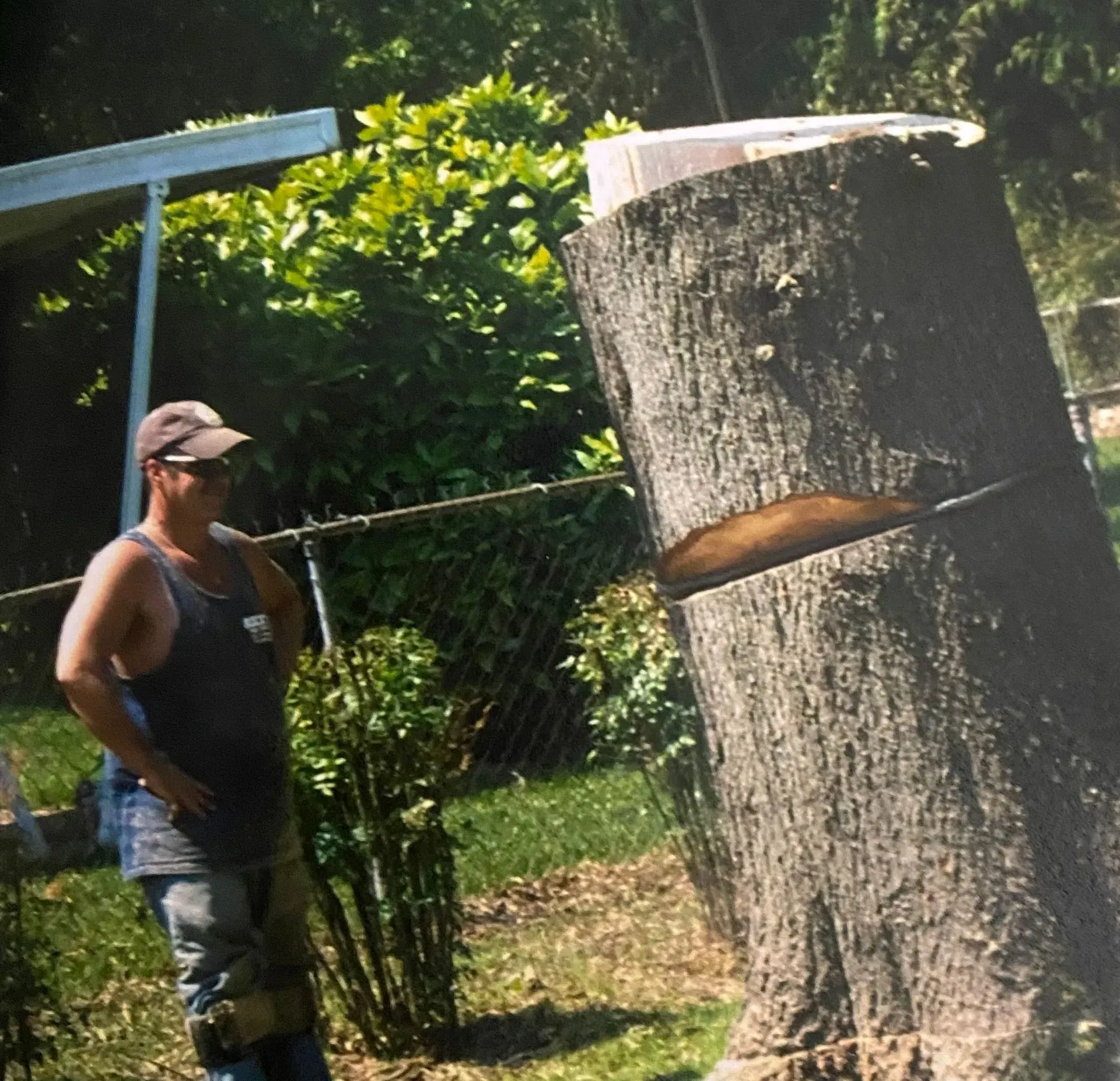 Man in cap and tank top stands near a partially cut tree trunk outdoors.