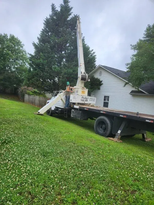A crane truck on a grassy hill, reaching towards a tree near a house. Man operating the crane.