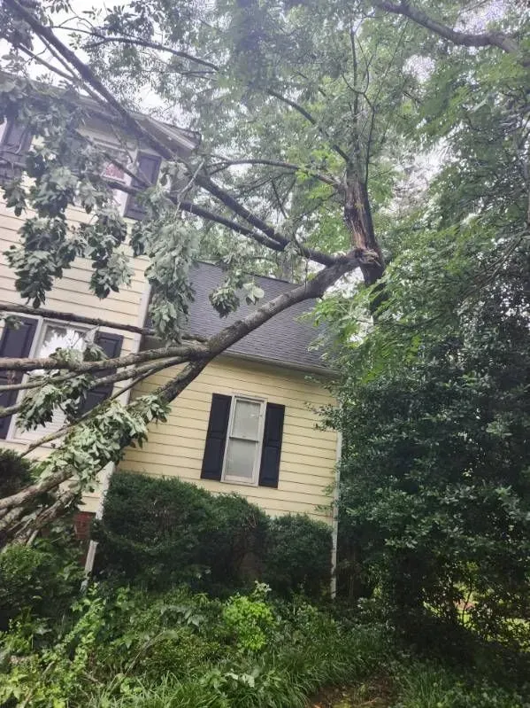 Tree branch fallen on a yellow two-story house with black shutters; lush green foliage.