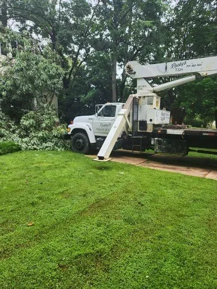 Tree service truck with boom extended, parked on a green lawn, next to a tree with cut branches.