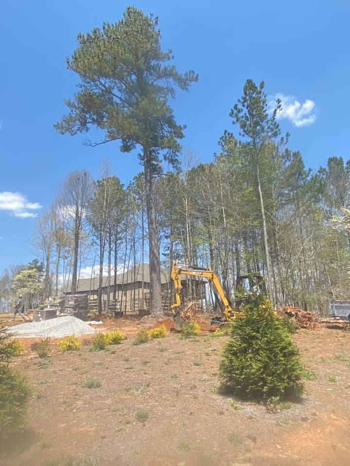 A house is being built in the middle of a forest.