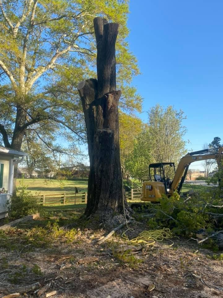 A large tree is being cut down by a bulldozer.