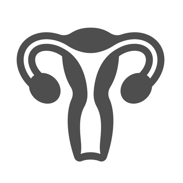 icona ginecologo