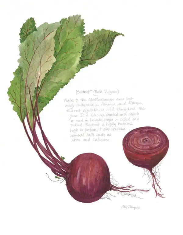 November Beets!