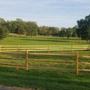 A three-rail wooden fence surrounds a green, grassy meadow with mature trees under a clear, bright blue sky.