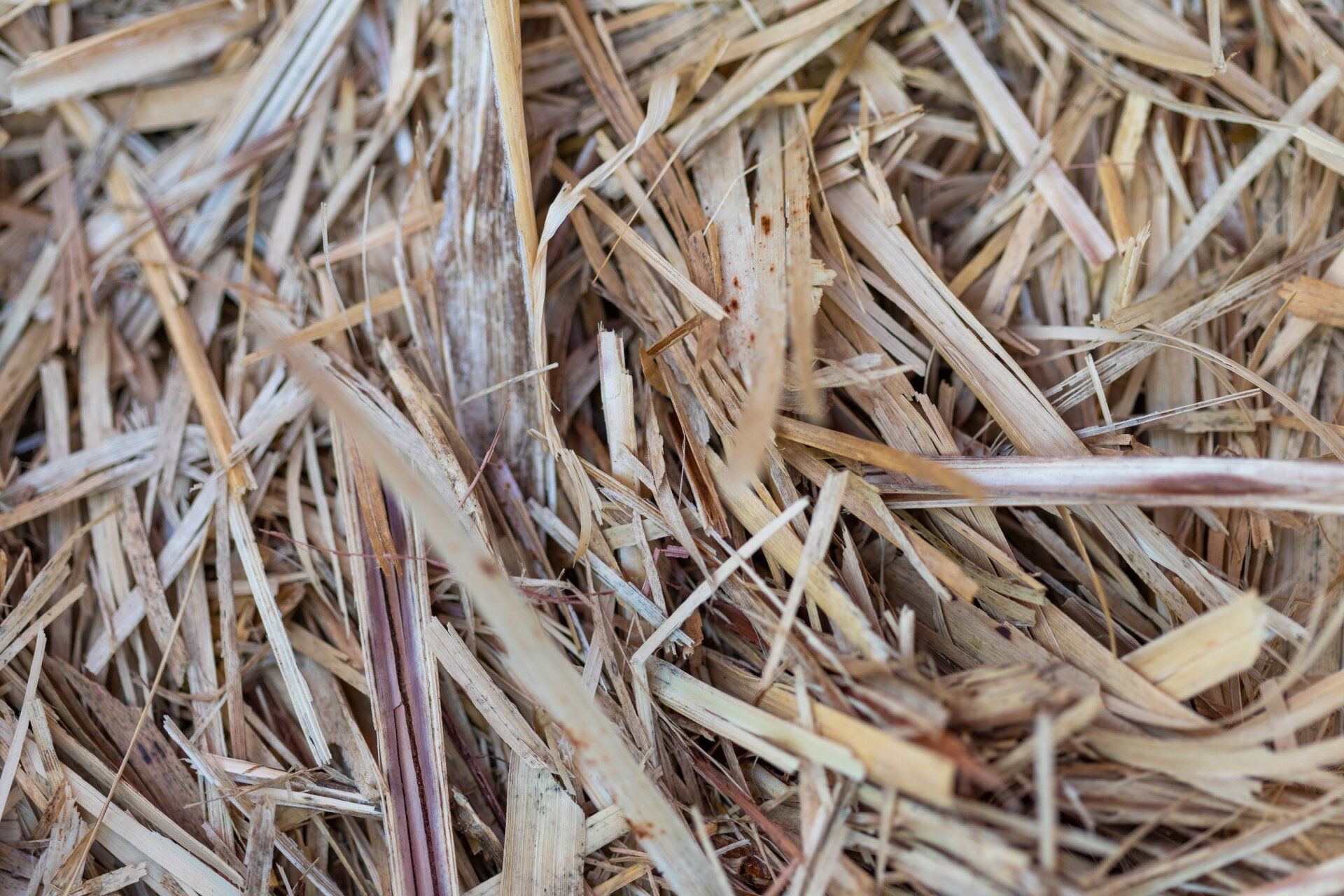 Sugar Cane Mulch — Currumbin QLD — Currumbin Garden Supplies