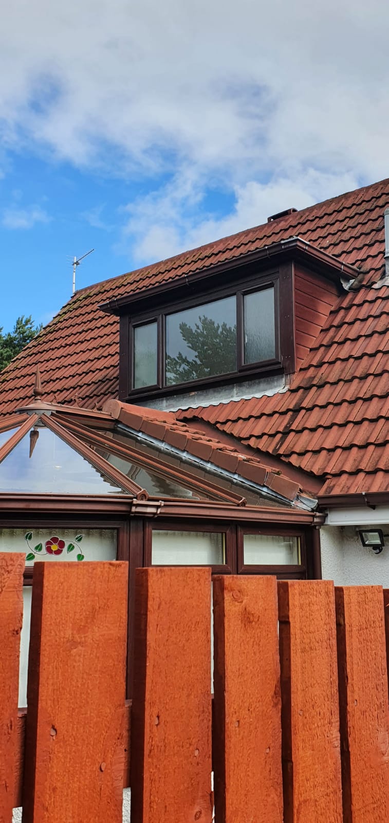 Window Store rosewood window