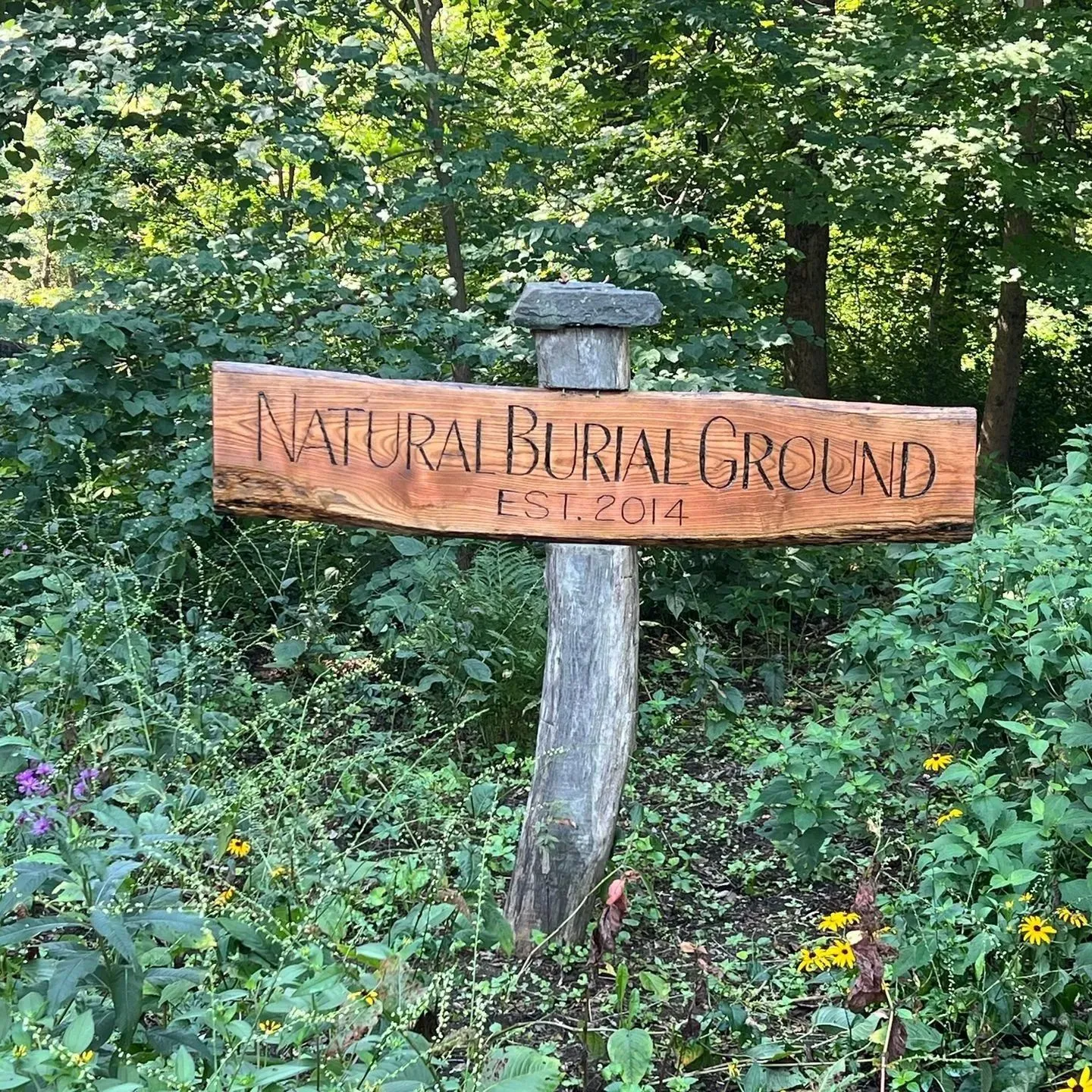Wooden sign reading “Natural Burial Ground,” in a wooded green forest setting.