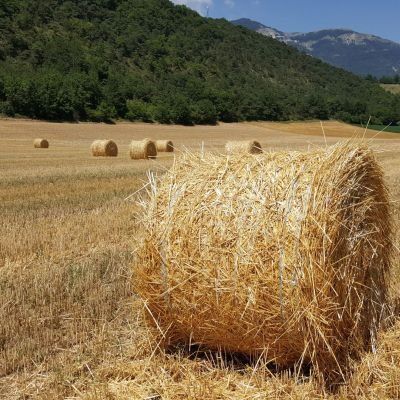 GOGOcamper.be - Reizen met een camper, mobilhome of motorhome betekent vrijheid, onafhankelijkheid, buiten leven, onthaasting, openstaan voor het onverwachte, eenvoud, kort bij de natuur, slow travel, ontdekken, … en toch zorgeloos en met veel comfort. 