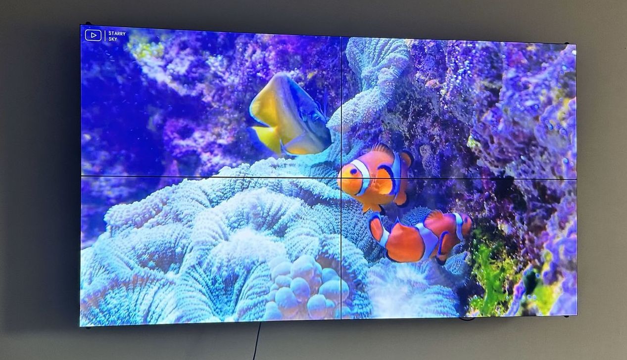 A clown fish is swimming in a coral reef on a large screen.