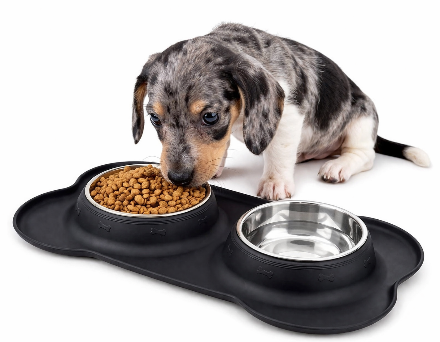 puppy checklist bowls asfrost