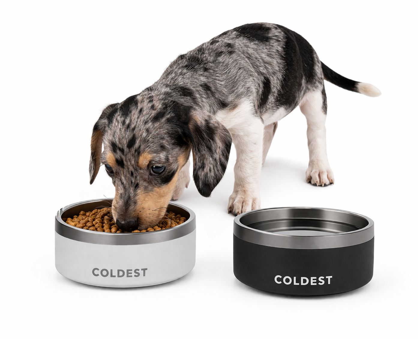 puppy checklist bowls coldest