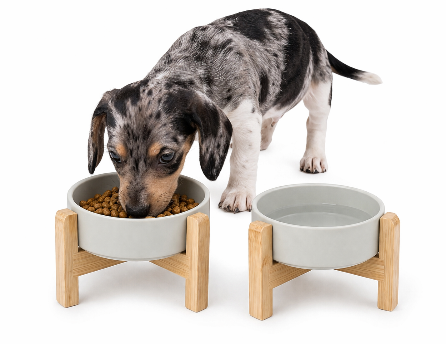 puppy checklist bowls spunky junky ceramic