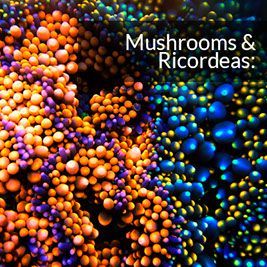 Mushrooms And Ricordeas