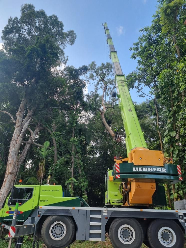 A Green and Yellow Truck with A Crane on Top of It — Advanced Vegetation Management in Kewarra Beach, QLD
